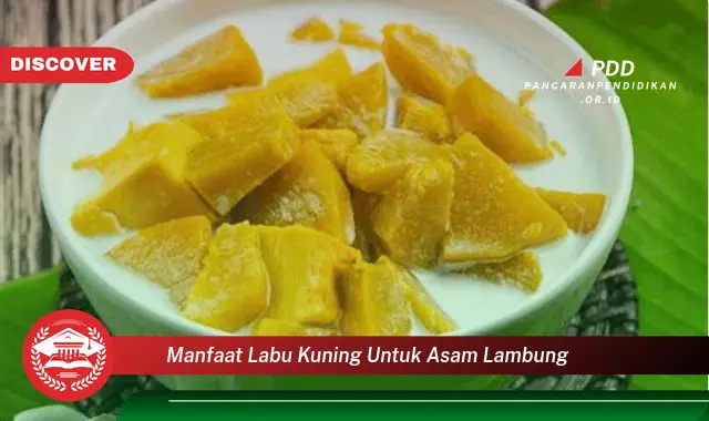 manfaat labu kuning untuk asam lambung