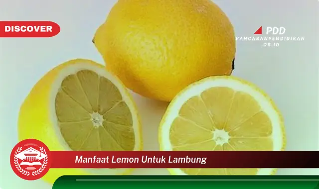 manfaat lemon untuk lambung