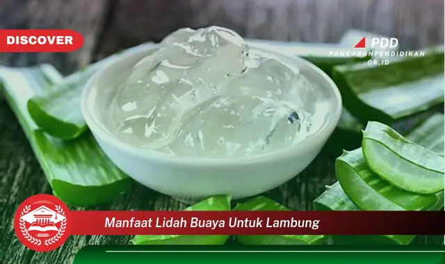 manfaat lidah buaya untuk lambung