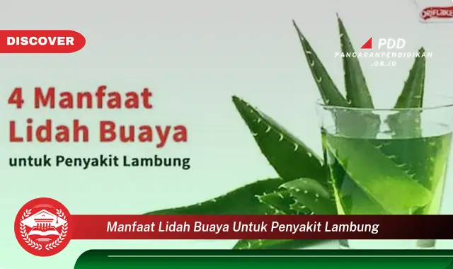 manfaat lidah buaya untuk penyakit lambung