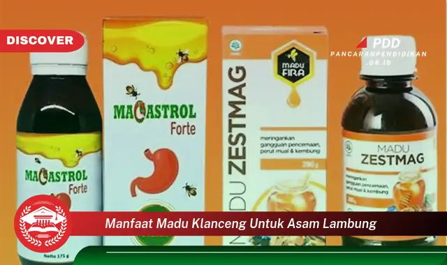 manfaat madu klanceng untuk asam lambung