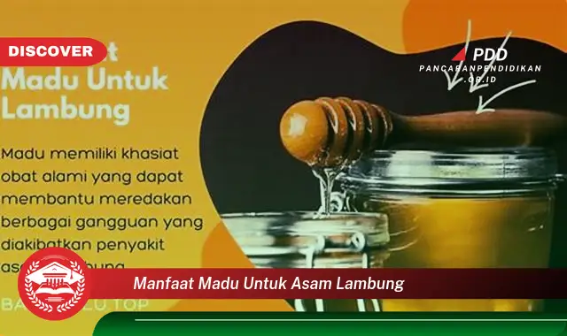 manfaat madu untuk asam lambung