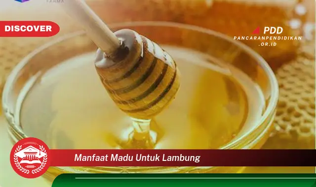 manfaat madu untuk lambung