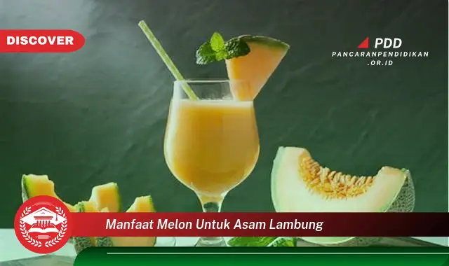 manfaat melon untuk asam lambung