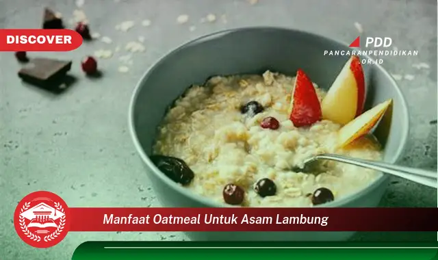 manfaat oatmeal untuk asam lambung