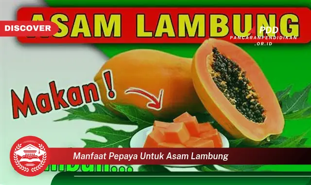 manfaat pepaya untuk asam lambung