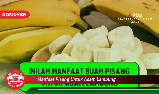 Banyak yang Belum Tahu, Inilah 30 Manfaat Pisang untuk Asam Lambung yang Bikin Penasaran