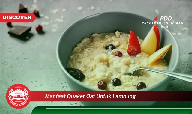 manfaat quaker oat untuk lambung