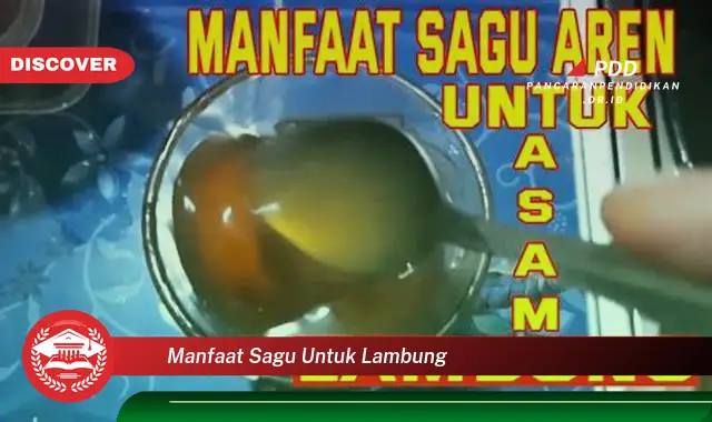 manfaat sagu untuk lambung