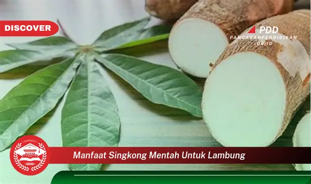 manfaat singkong mentah untuk lambung