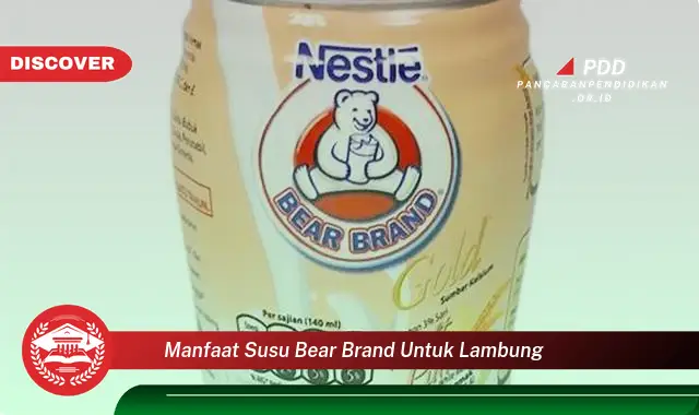 manfaat susu bear brand untuk lambung