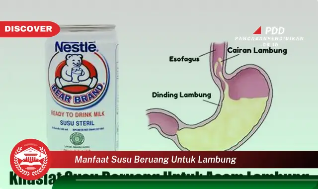 manfaat susu beruang untuk lambung