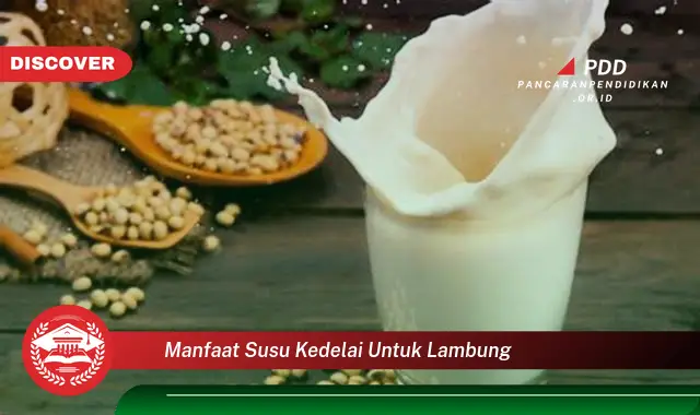 manfaat susu kedelai untuk lambung