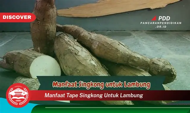 manfaat tape singkong untuk lambung