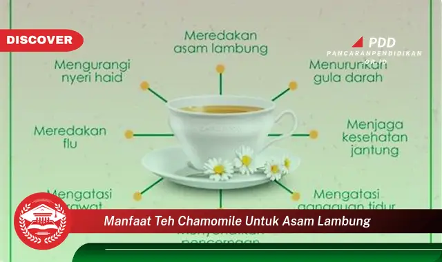 manfaat teh chamomile untuk asam lambung