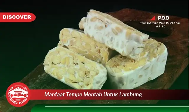 manfaat tempe mentah untuk lambung