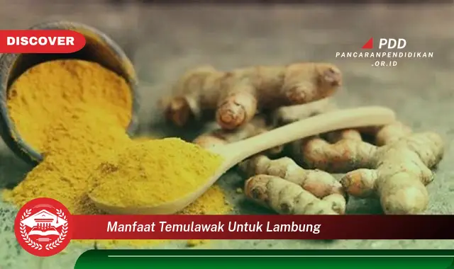 manfaat temulawak untuk lambung