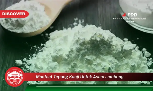 manfaat tepung kanji untuk asam lambung