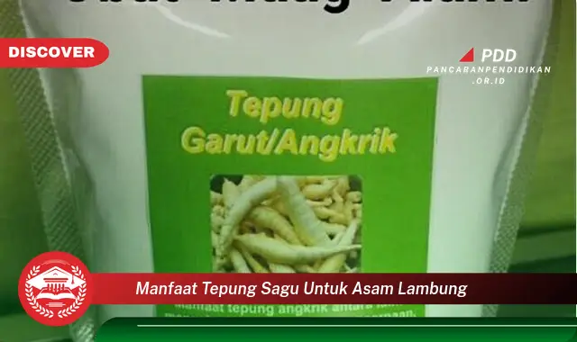 manfaat tepung sagu untuk asam lambung