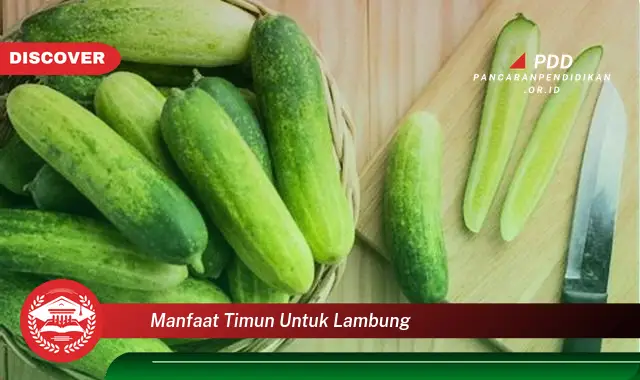 manfaat timun untuk lambung