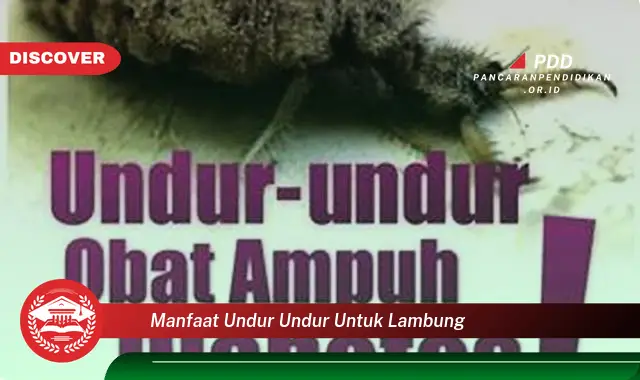 manfaat undur undur untuk lambung