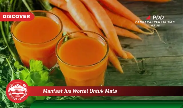 manfaat jus wortel untuk mata
