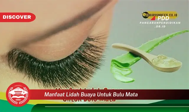 manfaat lidah buaya untuk bulu mata