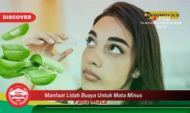 manfaat lidah buaya untuk mata minus