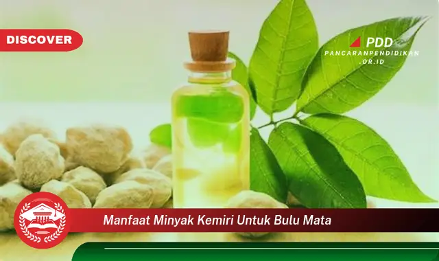 Kamu Wajib Tahu, 30 Manfaat Minyak Kemiri untuk Bulu Mata yang Jarang Diketahui