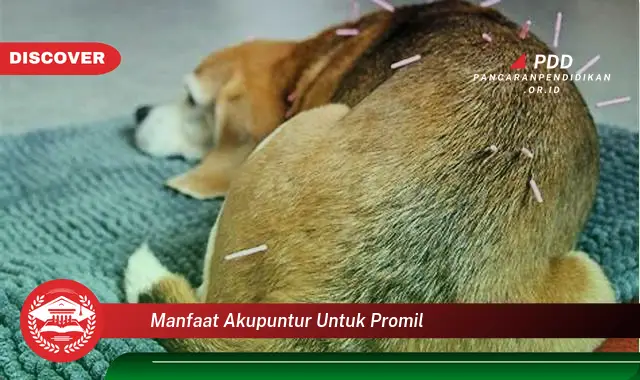 manfaat akupuntur untuk promil