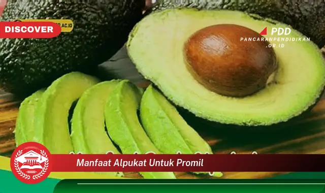 manfaat alpukat untuk promil