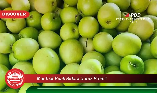 manfaat buah bidara untuk promil