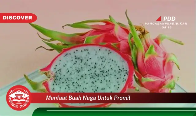 manfaat buah naga untuk promil