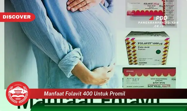 manfaat folavit 400 untuk promil