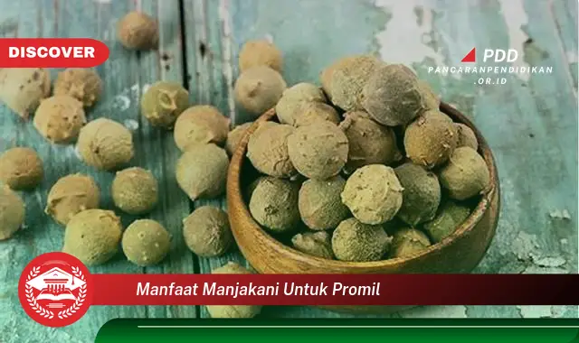 manfaat manjakani untuk promil