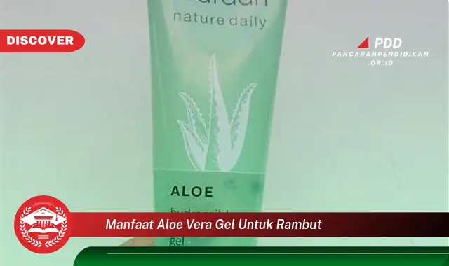 manfaat aloe vera gel untuk rambut