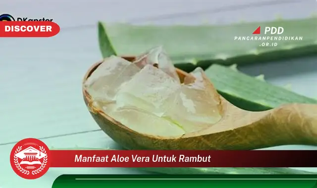 manfaat aloe vera untuk rambut