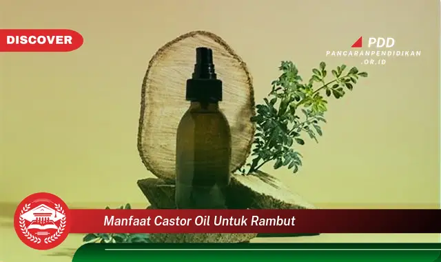 manfaat castor oil untuk rambut