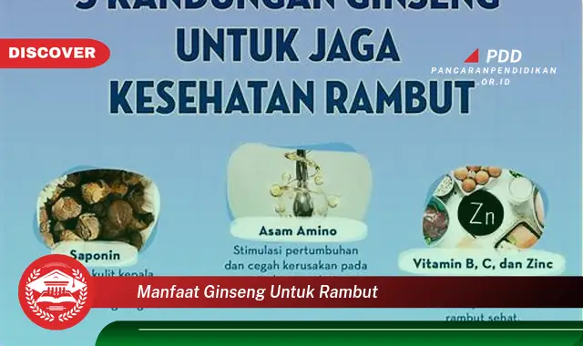 manfaat ginseng untuk rambut