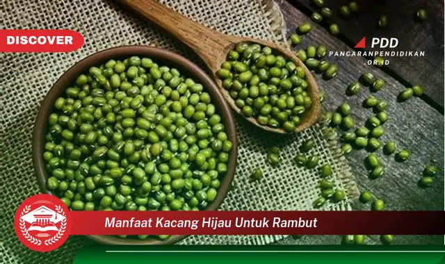 manfaat kacang hijau untuk rambut