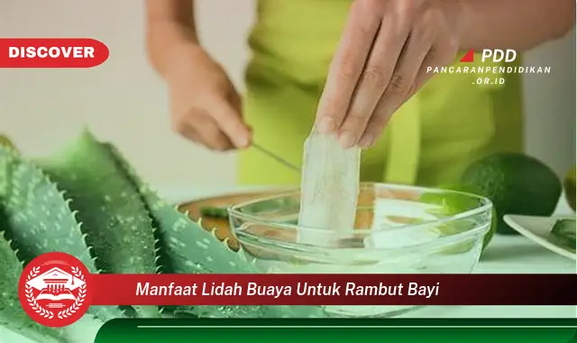 manfaat lidah buaya untuk rambut bayi