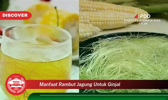 manfaat rambut jagung untuk ginjal