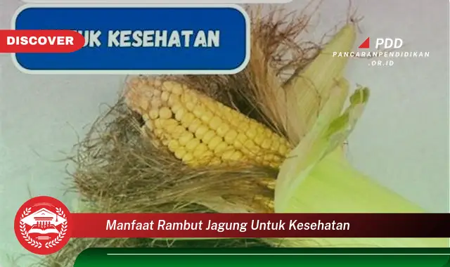 manfaat rambut jagung untuk kesehatan