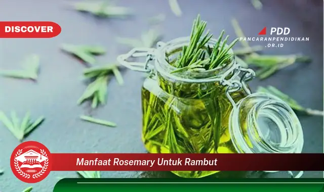 manfaat rosemary untuk rambut