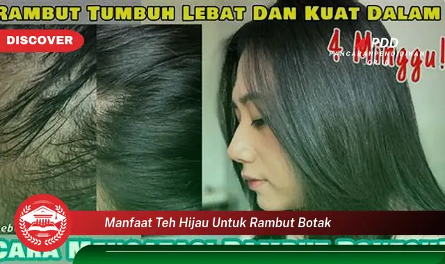 manfaat teh hijau untuk rambut botak