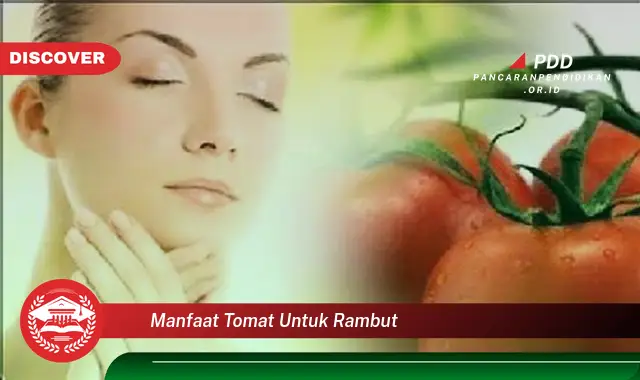 manfaat tomat untuk rambut