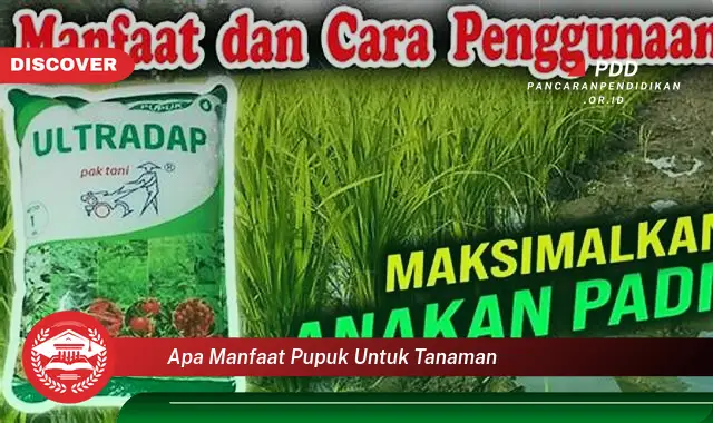 apa manfaat pupuk untuk tanaman