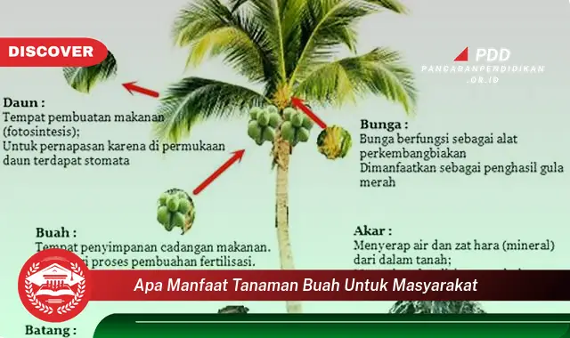 apa manfaat tanaman buah untuk masyarakat