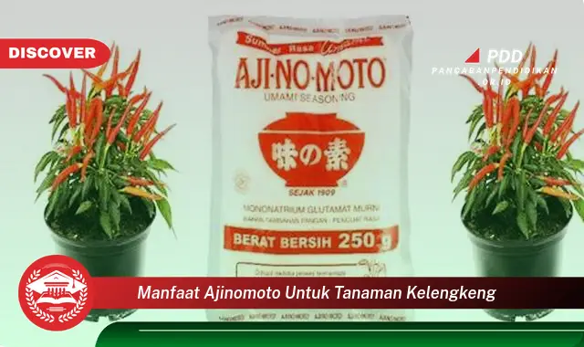 manfaat ajinomoto untuk tanaman kelengkeng