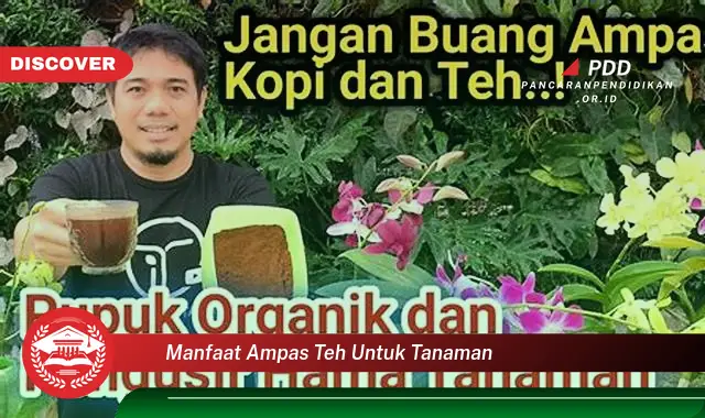 manfaat ampas teh untuk tanaman